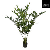 Fishtail Palm In Pot Green - H150Xd100Cm